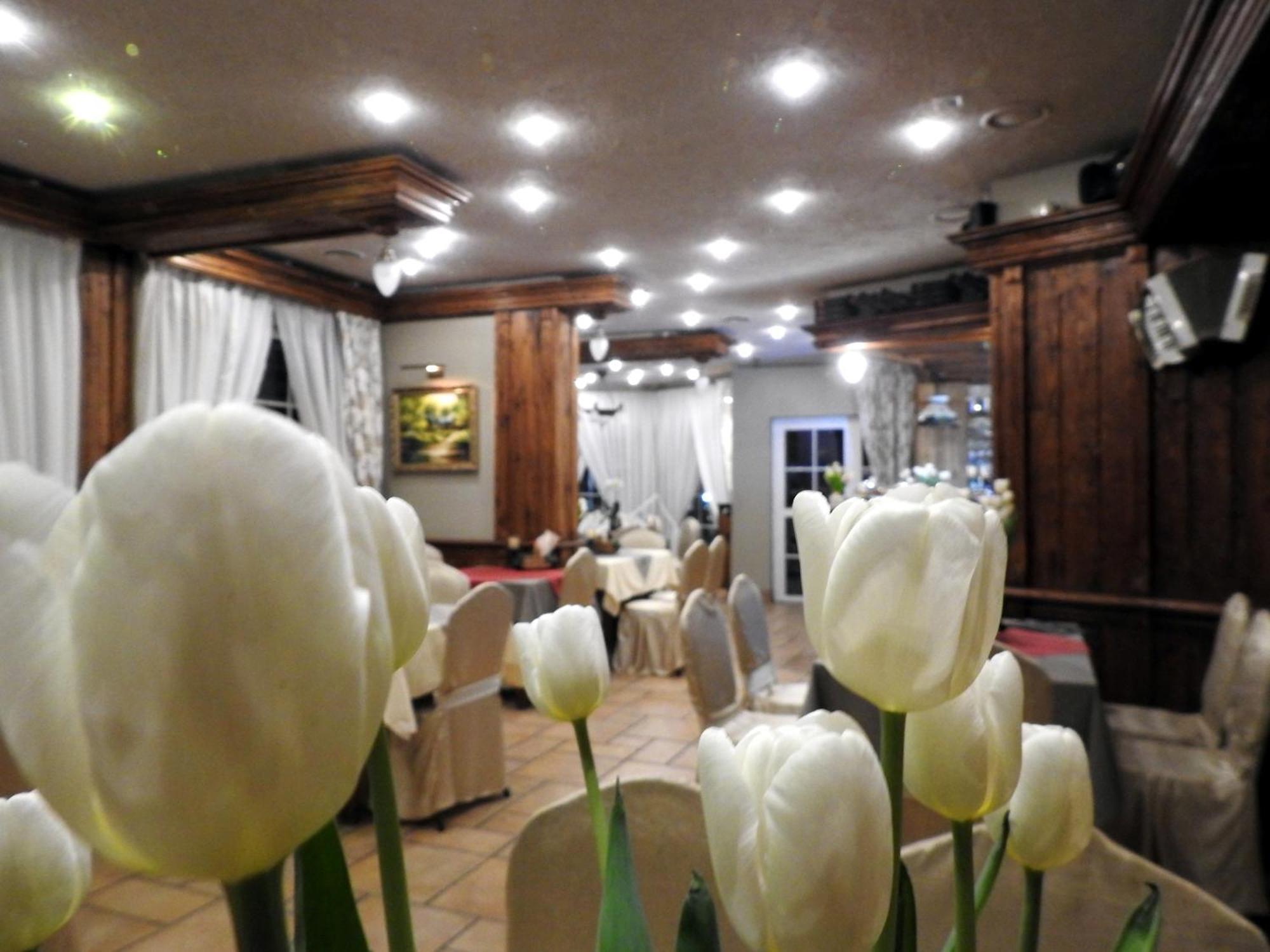 Noclegi I Restauracja Zodiak Szalsza Exteriör bild
